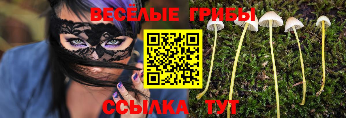Вичуга  Псилоцибиновые грибы Psilocybine cubensis  Вход с VPN 