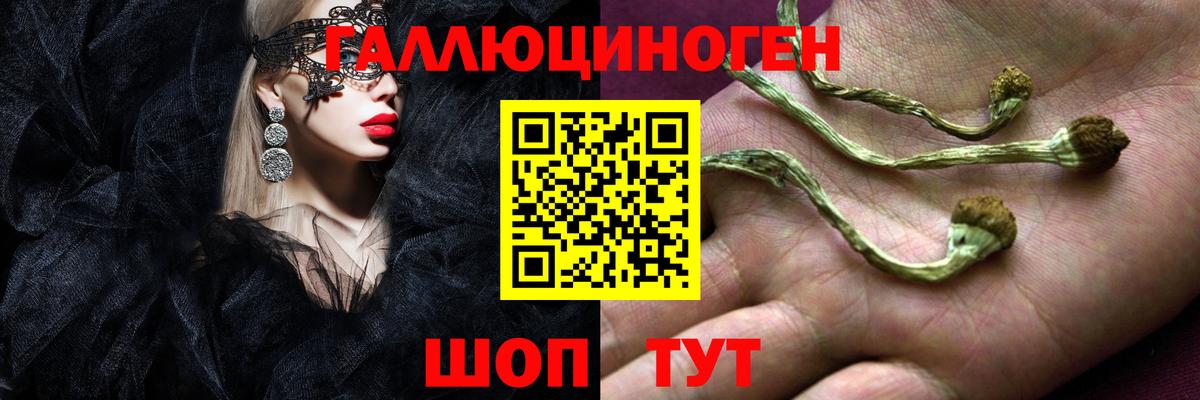 Галлюциногенные грибы мухоморы Вичуга